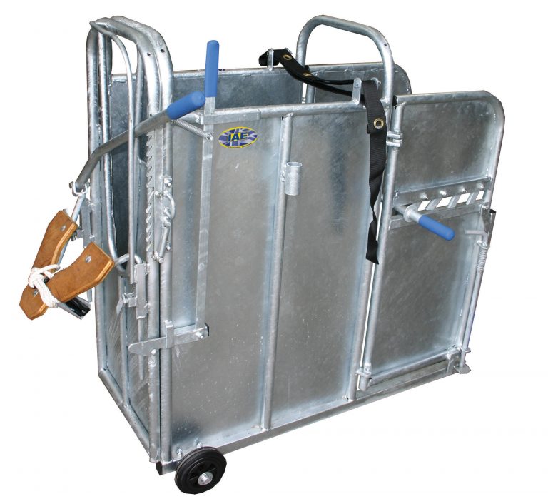 Calf DeHorning Crates Millward and Keeling